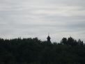 DSCF0005.JPG