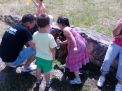 IMG_20160625_142227.jpg