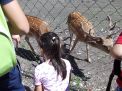 DSCN2725.JPG