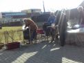 20170225_144453.jpg