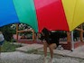 IMG_20210715_150029.jpg