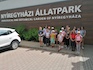IMG_20220711_104510.jpg