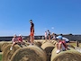 20230714_111251.jpg