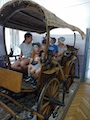 IMG_20230711_111826_147.jpg