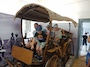 IMG_20230711_111921_278.jpg