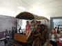 IMG_20230711_112134_396.jpg
