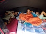 IMG_20230711_132729_378.jpg