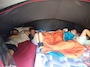IMG_20230711_132738_731.jpg