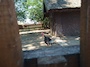 IMG_20230714_104953_170.jpg