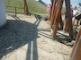 IMG_20230714_110155_991.jpg