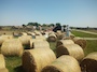 IMG_20230714_111208_728.jpg