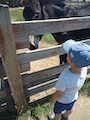 IMG_20230714_113616_494.jpg