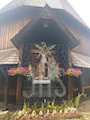 IMG_20240804_135247_675.jpg